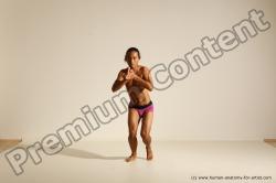 Elmer - Traditional Korean Art